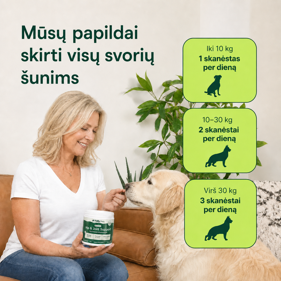 Papildai Sąnariam ir Judrumui