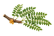 Bosvelija