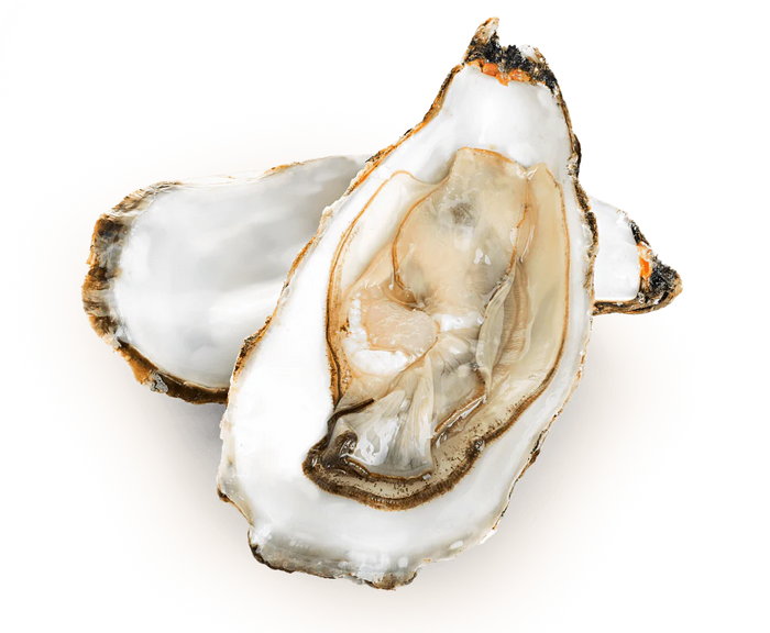 Gliukozaminas